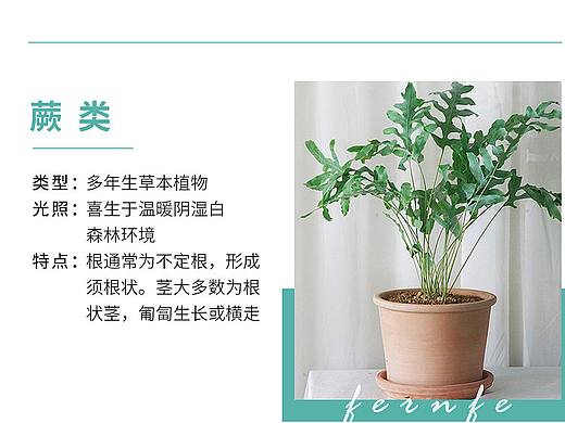 绿植（个人主页-ZNjM4MTY3MDQ=） - 其他平面 - 站酷设计师锅碗瓢盆w原创素材 - 站酷ZCOOL