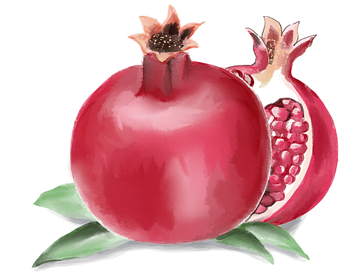 水彩-水果（個人主頁-ZNTk4MTMzODA=） - 創(chuàng)作習作 - 站酷設計師楓葉的小畫室原創(chuàng)素材 - 站酷ZCOOL