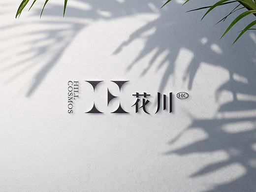花川HC 医疗美容logo 视觉vi