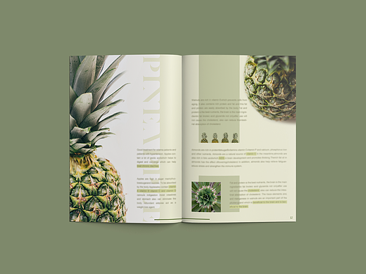 行业报告-水果中的营养宇宙