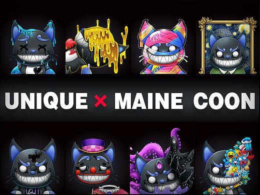 Unique maine coon丨致独特的你