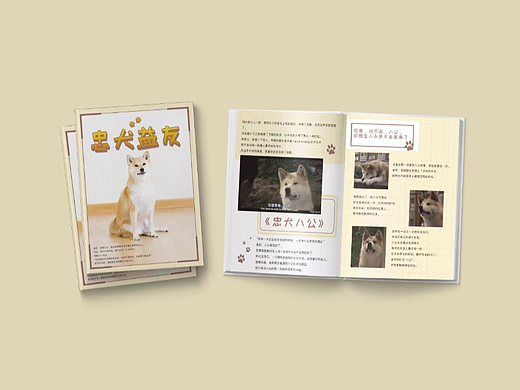 影视剧/《忠犬益友》(画册排版)