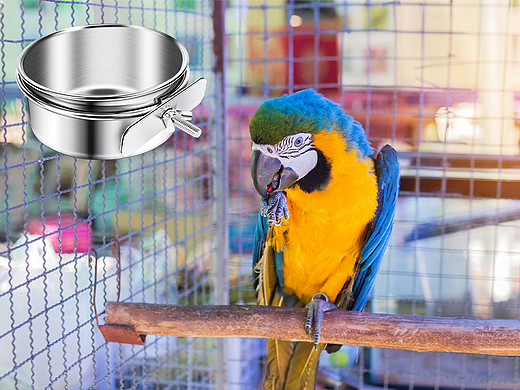 Amazon亚马逊主图/A+