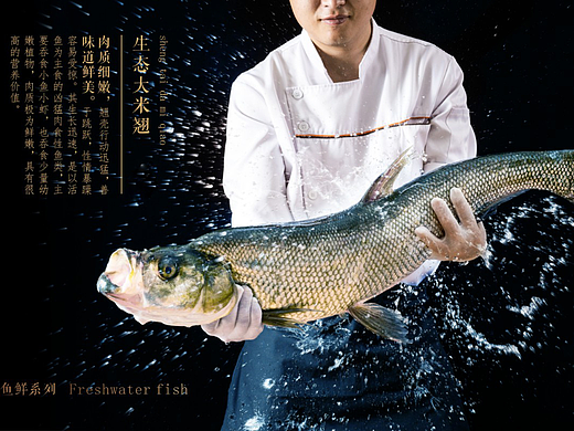 酒店电子菜谱设计-成都专业电子菜单设计制作公司