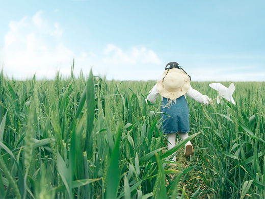 麦田