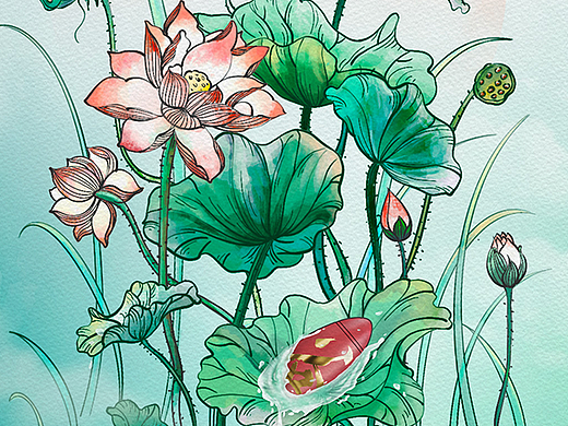 谷小酒·观莲节·红运莲莲主题推文分享
