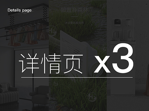 5/6月详情页x3