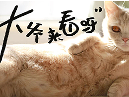 波波哩