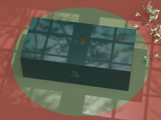 【祝倾城】珠宝首饰包装设计