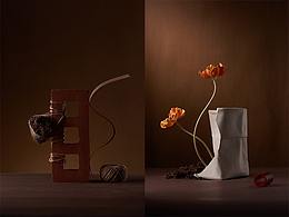 物体的一组艺术照#