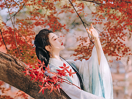 摄影作品收藏