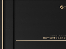 导 视