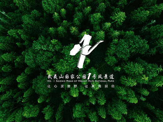 武夷山国家公园1号风景道品牌设计——《山林不语·静而不争》
