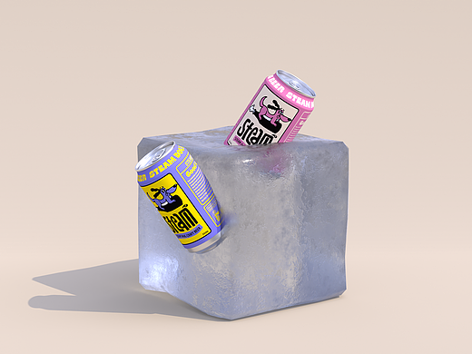 Steam精酿啤酒包装设计