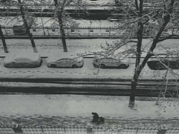 三張照片總結(jié)2022年