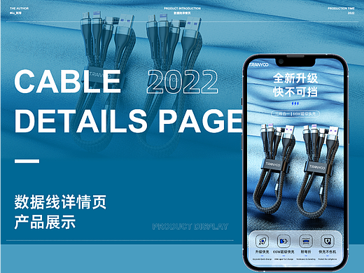 数据线详情页