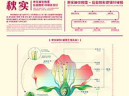 毕设相关
