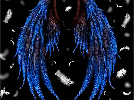 蓝色翅膀 天使 羽毛（个人主页-ZNjIxMTQ3MDA=） - 海报 - 站酷设计师小猪的小伊依原创素材 - 站酷ZCOOL