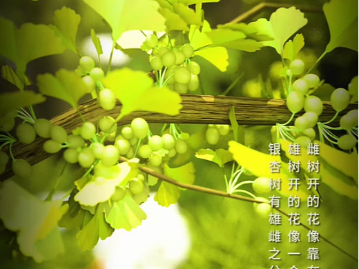 杭州玄猫3D动画制作专业团队