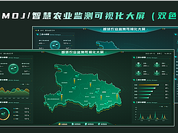 大屏可视化