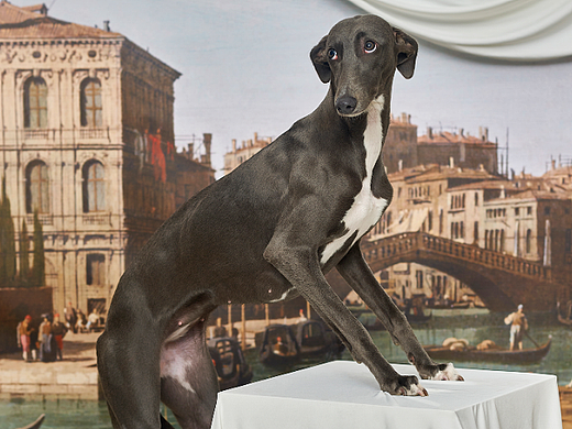 BINGOstu咔嚓文化 X MIKA&NUONUO