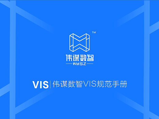【品牌全案】伟谋数智