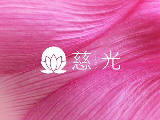 【国学教育】慈光文化教育