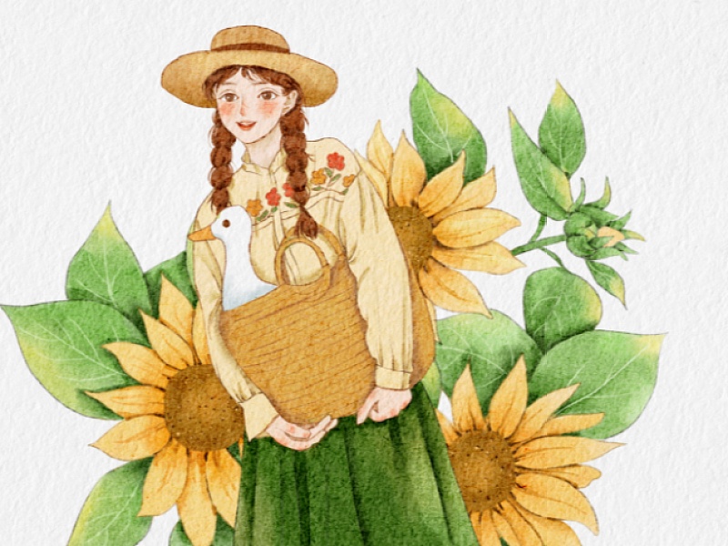 窗外的木棉花开