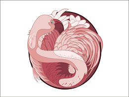 练习-火烈鸟