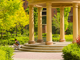 身邊的那些小美好