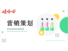 家具营销推广策划案