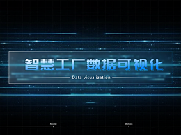 照片视频可视化