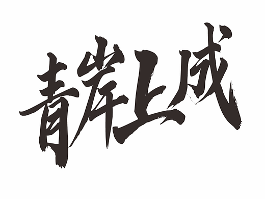 青岸·上成招商手册