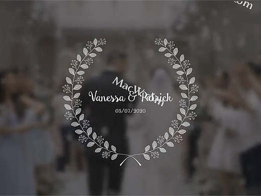 PR模板-14种浪漫小清新藤蔓图形爱情婚礼文字标题动画 Wedding Titles Pack