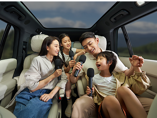 理想汽车车载麦克风