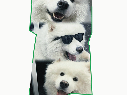 [重生]这一次我要把属于我的全都拿回来。