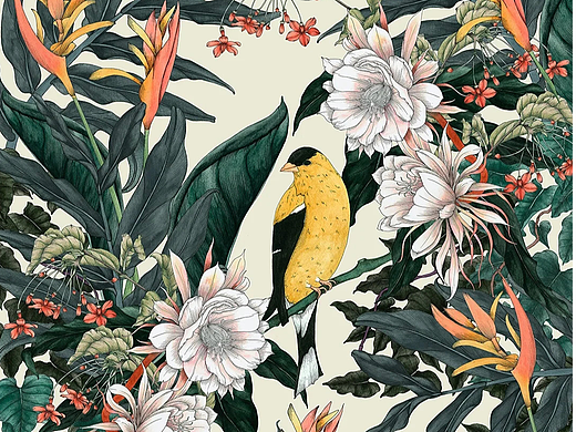 治愈系花鸟油画--之--私人藏库--Update 220421