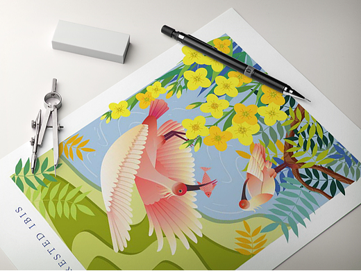 十大瀕危動物（一）（個人主頁-ZNjczODM4NTY=） - 商業(yè)插畫 - 站酷設(shè)計師燈七原創(chuàng)素材 - 站酷ZCOOL