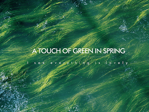 春日里的一抹绿