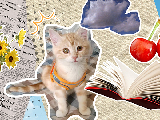 拼贴风--咸蛋黄