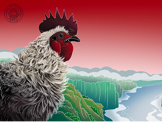 翻毛鸡包装插画