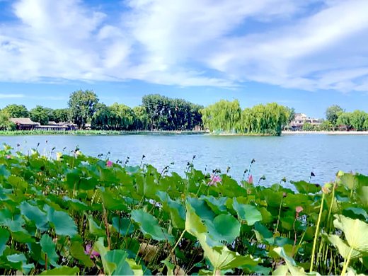 北京景点什刹海延时摄影-4k-10秒