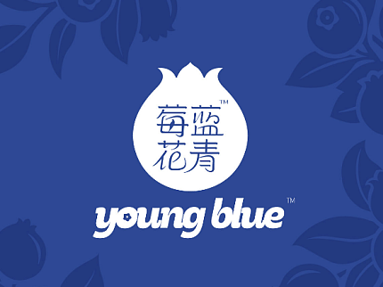 包装
