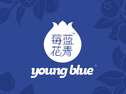 蓝莓品牌与包装整体设计 莓蓝花青 