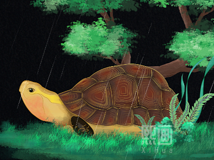 雨水（个人主页-ZNjQyODc3ODQ=） - 商业插画 - 站酷设计师熙画原创素材 - 站酷ZCOOL