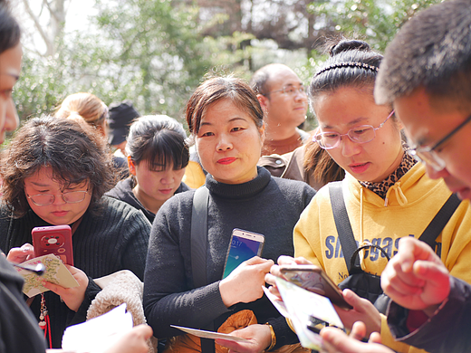閤皂山丽人节活动现场