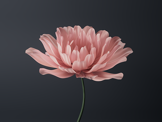 花语