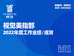 品牌升级：《青龙.企业视觉形象优化升级设计》