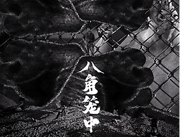 八角笼中影视海报