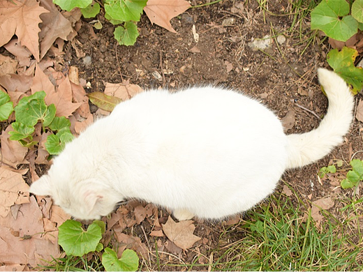 震惊!竟然在长风公园拍到了偶像!